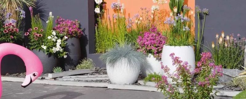 fleurs en décoration de jardin